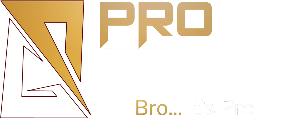 Pro Gamer Bro it's Pro